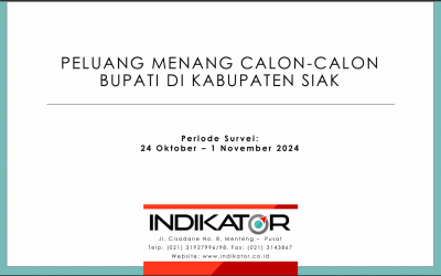 Rilis Indikator Kabupaten Siak November 2024